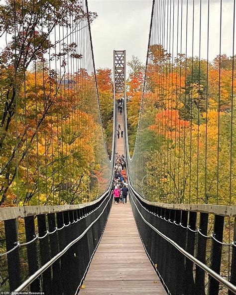 sky bridge michigan