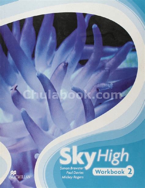 sky high 5 workbook answers