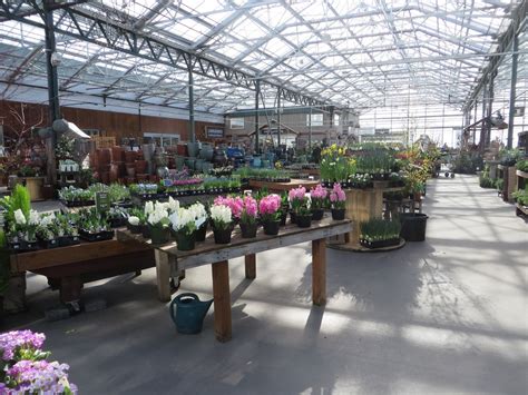 sky nursery washington