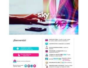 Sky Servicios En Linea