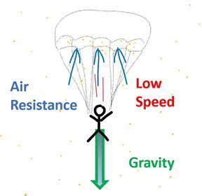 Skydive Into Forces Lesson Plan Science Buddies Parachutes Science Experiment - Parachutes Science Experiment