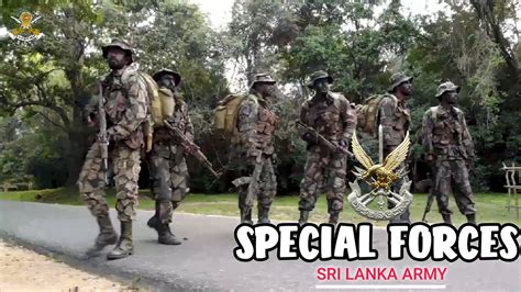 Sl Unit Of Force