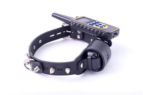 Slave Training Shock Collar