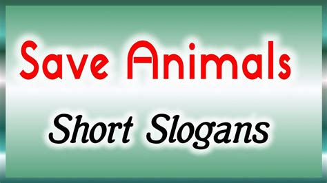 Slogan On Animals