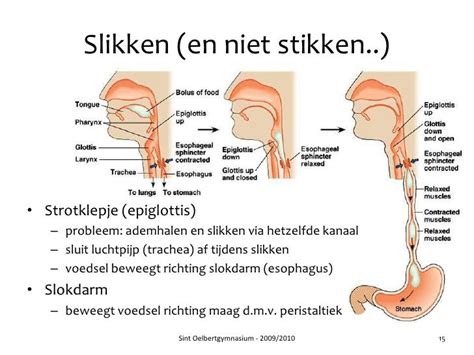 slokdarm probleem