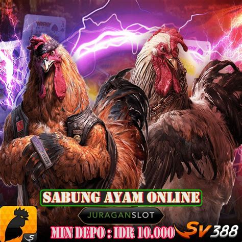 SLOT AYAM TOTO：VIDEO Terbongkar! Sindikat Judol 