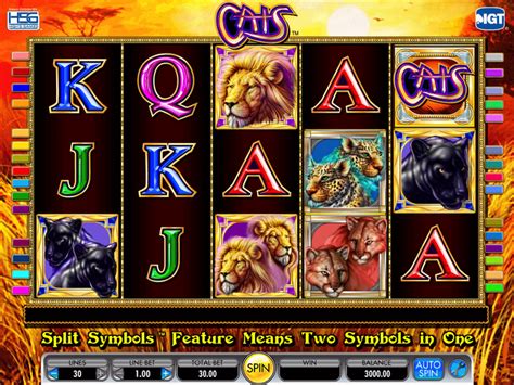slot machine free cats qhrm luxembourg