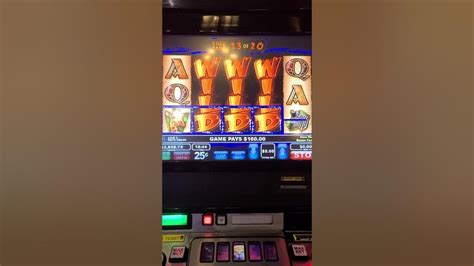 slot vlt wildlife gratis amim