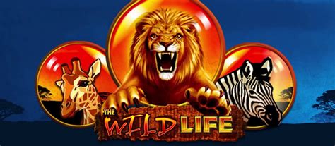 slot vlt wildlife gratis zkze belgium