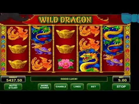 slot wild dragon Online Casino spielen in Deutschland
