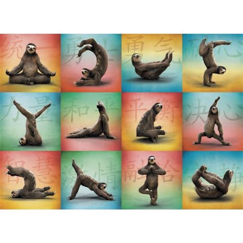 Read Sloth Yoga 2018 Calendar 