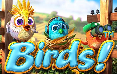 slots casino about brid