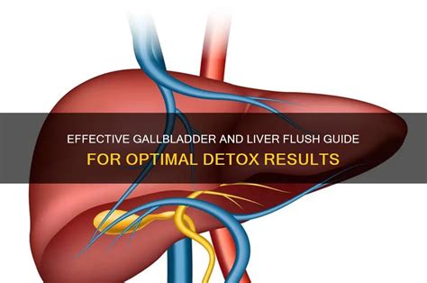 Full Download Slow Gallbladder Manual Guide 