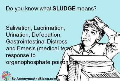 sludge acronym parasympathetic - diagrammix.com