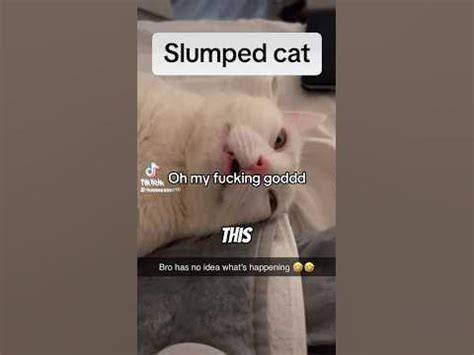 slumpedkat nude