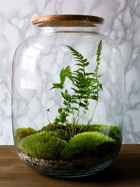 small and green terrariums - small and green