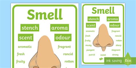 Smell Adverb