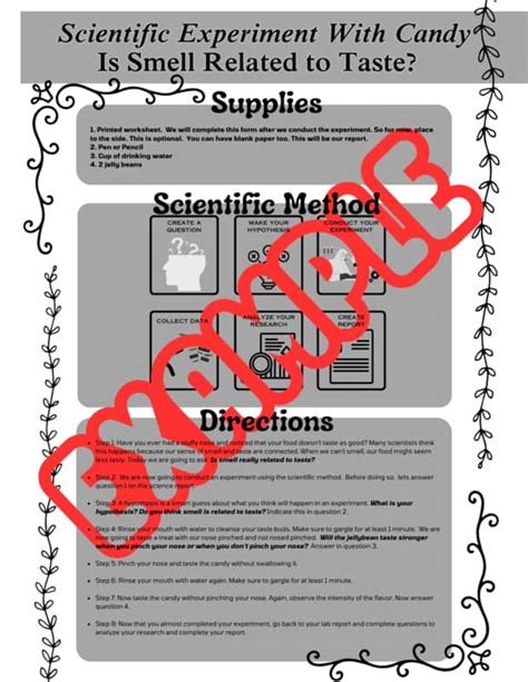 Smell And Taste Lab Report 31 Answers