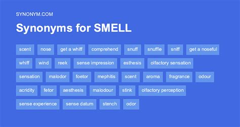 Smell Synonym