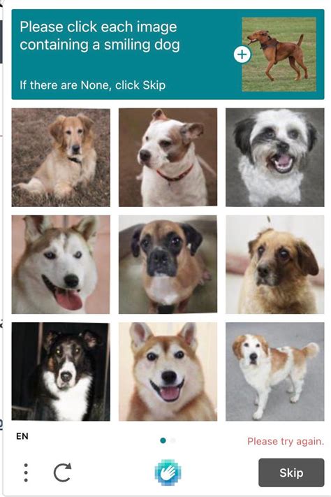 Smiling Dogs? Captcha Has Gone Too Far