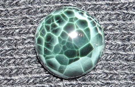 Smithsonian Gem Quality Chlorastrolite Smithsonian