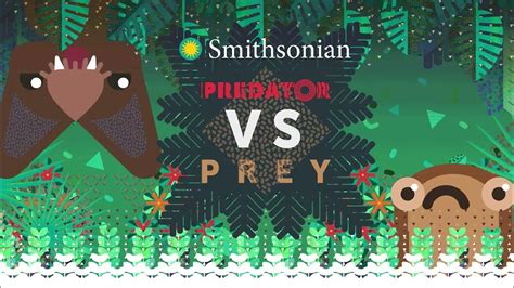 Smithsonian Predator Vs Prey Predator Prey Worksheet Elementary - Predator Prey Worksheet Elementary