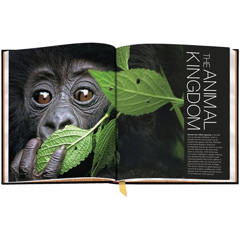 Read Smithsonian Animal The Definitive Visual Guide 