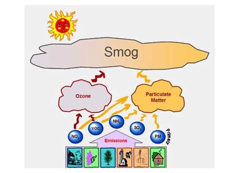Smog Is Combination Of