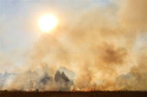 smoke in the sun flame in the mist