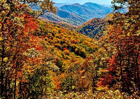 Smoky Mountains Fall Peak Colors
