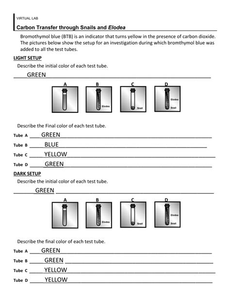 Read Online Snail And Elodea Lab Answers 