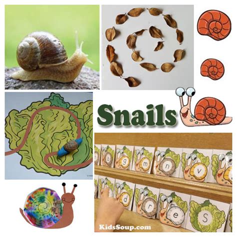 Snails And Worms Preschool Activities Science Lessons And Preschool Worm Worksheet - Preschool Worm Worksheet