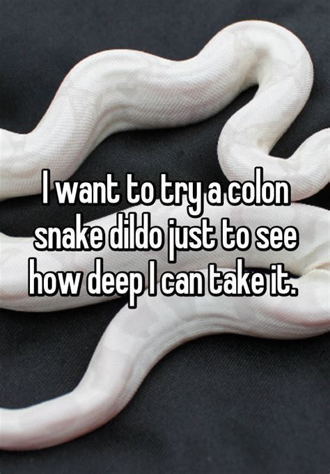 Snake anal insertion
