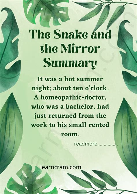 Snake And Mirror Summary