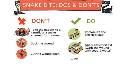 Snake Bite Ppt
