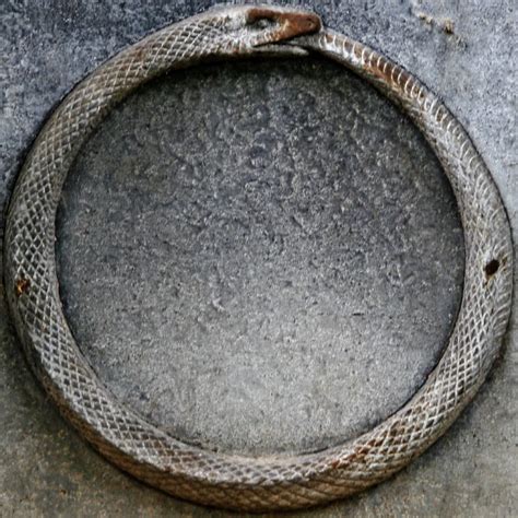 Snake Eating Itself