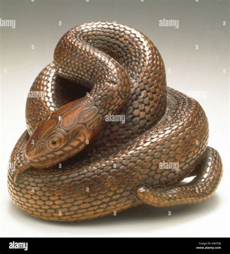 Snake Represents