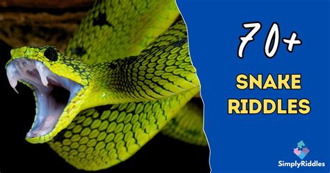 Snake Riddle