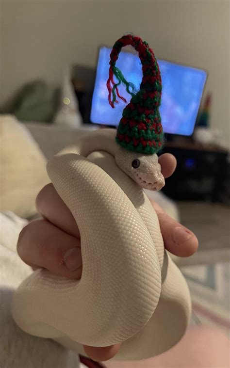 Snakes With Hats