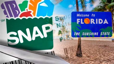 snap de florida