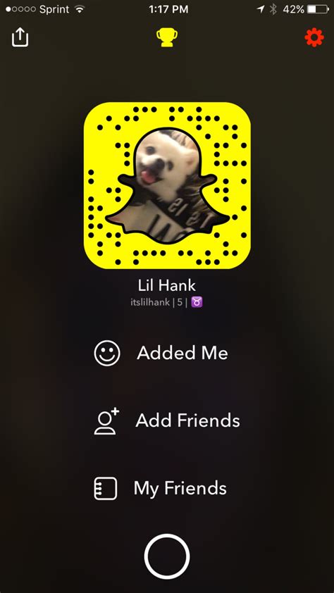 Snap-videos.com