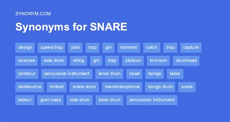 Snare Synonym