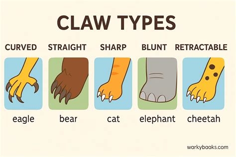 Snatch From The Claws Of Satan