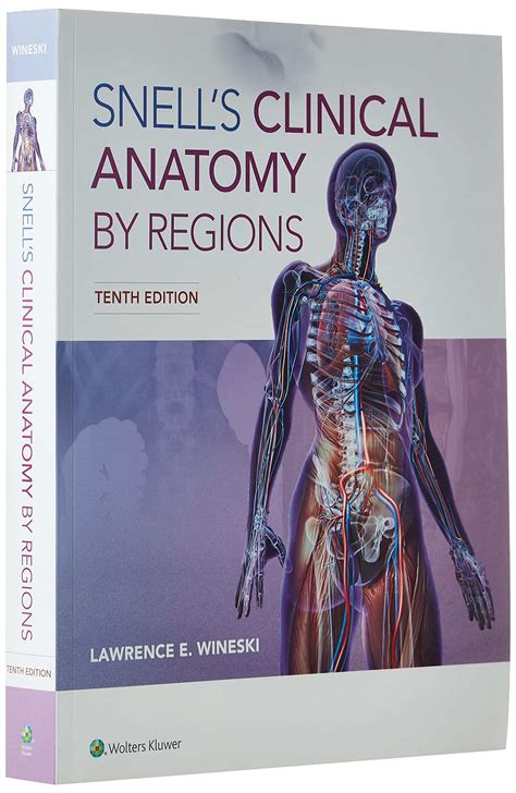 Read Snell Anatomy Latest Edition 