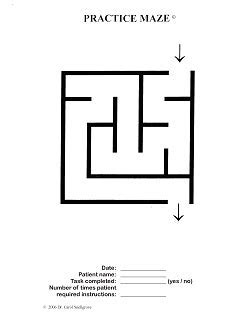 Full Download Snellgrove Maze Task 