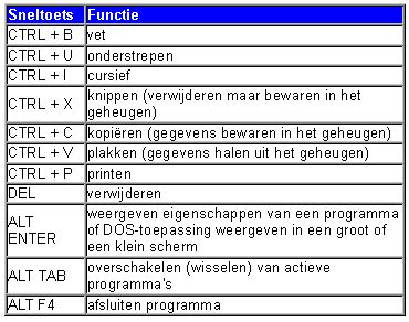 sneltoetsen computer