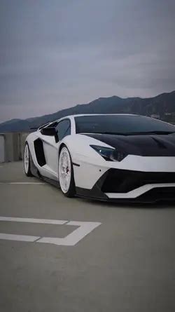 sniptik | Snip Tik LinkedIn