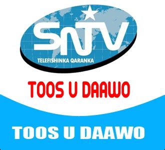 bet7k: Como Apostar nas Apostas Desportivas Online com Garantia de Segurança e Proteção - Foto 2