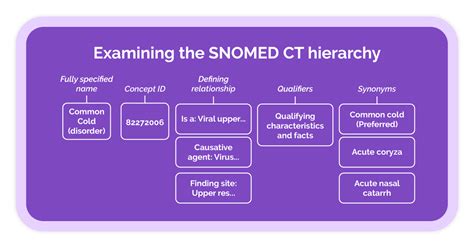 Snomed Ct Codes