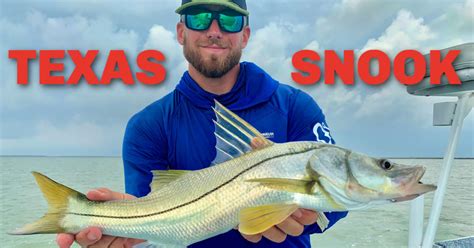 snook texas